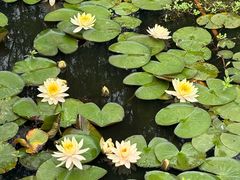 -渌洋湖湿地公园