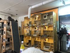 -平行世界·猫咖(首经贸店)