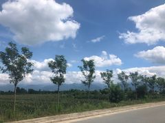 -黑河国家森林公园