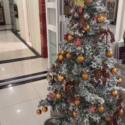 -香秀空间科技抗衰·美容中心