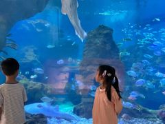 -海合安武汉极地海洋公园