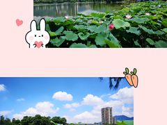 -飞来湖湿地公园