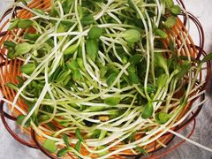 葵花苗食材-龙桥私厨·姜花菊花过桥鱼·顺德菜(容桂店)