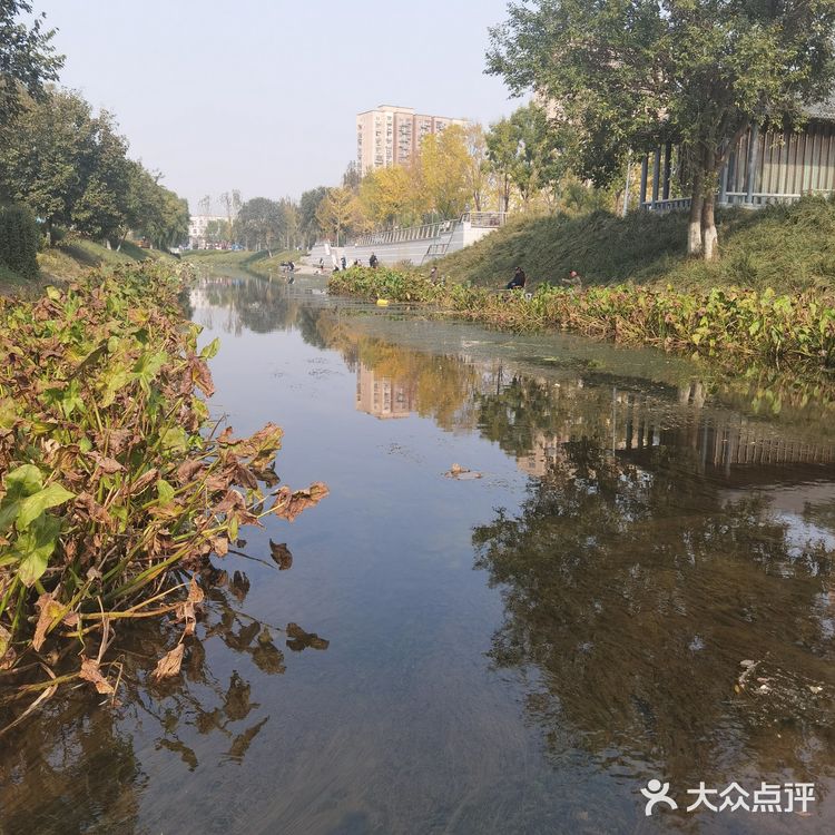 今天从大观音寺小区河边经过，竟没有认出来。原来的臭水沟