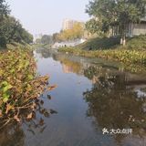 今天从大观音寺小区河边经过，竟没有认出来。原来的臭水沟