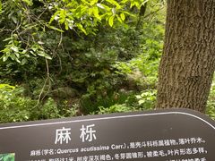 -江苏三台山国家森林公园