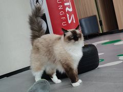 -M.S拳击泰拳馆(大学路店)