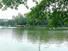 -重庆彩云湖湿地公园