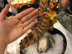 -鲜入围煮花胶鸡海鲜火锅