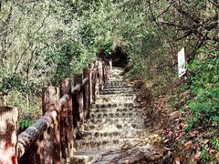 -光雾山旅游景区