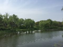 -新江湾城公园