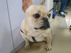 -狗舍宠物医院(四季商业广场店)