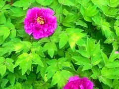 -东华门大街小区