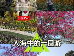 -金鸡山公园