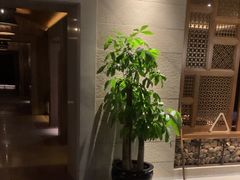 -浅深Cheersum(曹杨店)