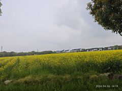 -莲花岛景区