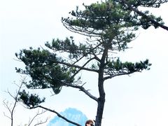 -沂蒙山旅游区云蒙景区(蒙山国家森林公园)