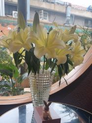 -花隐·美芙炫海菲秀皮肤管理中心