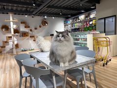 -听TA说宠咖·宠物生活馆(天韵水岸店)