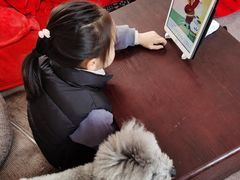 -学知乐教育·幼小衔接·小学科辅导(嘉定镇校区)