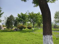 -汉长安城未央宫国家考古遗址公园