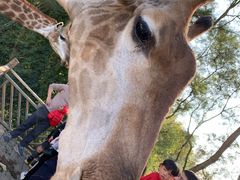 -泉州海丝野生动物世界