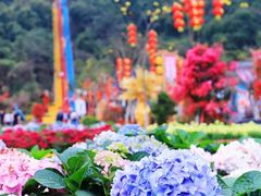 -东莞观音山旅游风景区