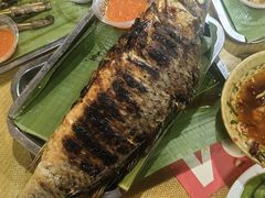 -杨合林啊兰烤鱼