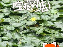 -东江渔村·古典园林·30年粤菜老字号(太和店)