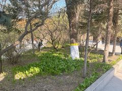 -哈尔滨极乐寺