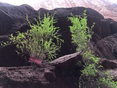 -天山神秘大峡谷