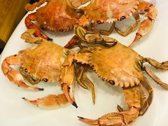-鲜鲜·鲅鱼圈海鲜(于洪店)
