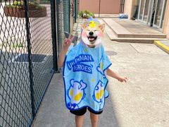 -七宝中学游泳馆