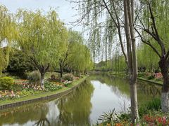 -上海鲜花港