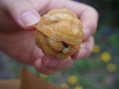 核桃饼-莫朗核桃饼(虹泉路店)