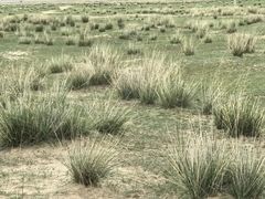 -草原天路(张北县)