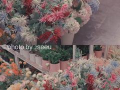 -KKV(天津津南吾悦广场店)