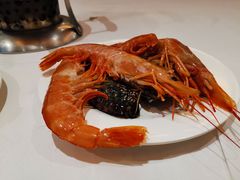 -五月罗马海鲜自助餐厅(陆家嘴店)