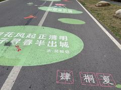 -泗洪洪泽湖湿地景区