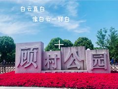 -顾村公园