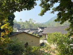 -黄埔油麻山森林公园