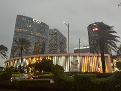 -澳门威尼斯人综合度假区