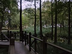 -尚贤河湿地
