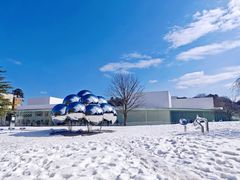 -金泽21世纪美术馆