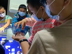 -贝壳王国博物馆