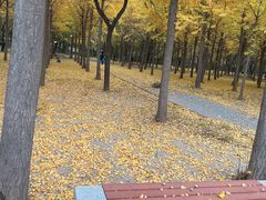 -天元公园