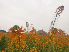 -中国天府农业博览园