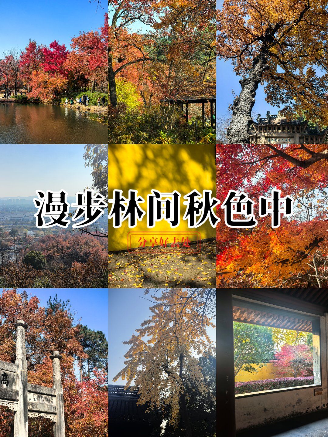 天平山 层林尽染