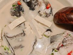 -老傅家湘潭水煮活鱼店(众一国际店)