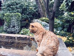 -龙华素斋(龙华路店)